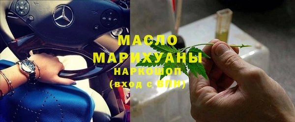 индика Ладушкин