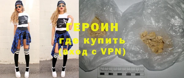 индика Ладушкин