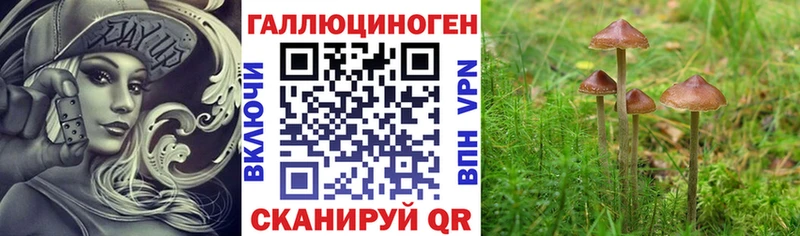 hydra зеркало  Чадан  Галлюциногенные грибы MAGIC MUSHROOMS 
